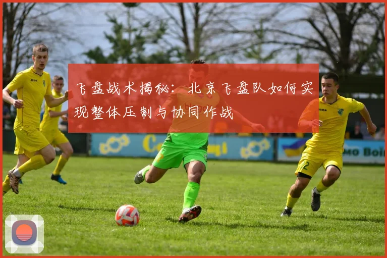 飞盘战术揭秘：北京飞盘队如何实现整体压制与协同作战