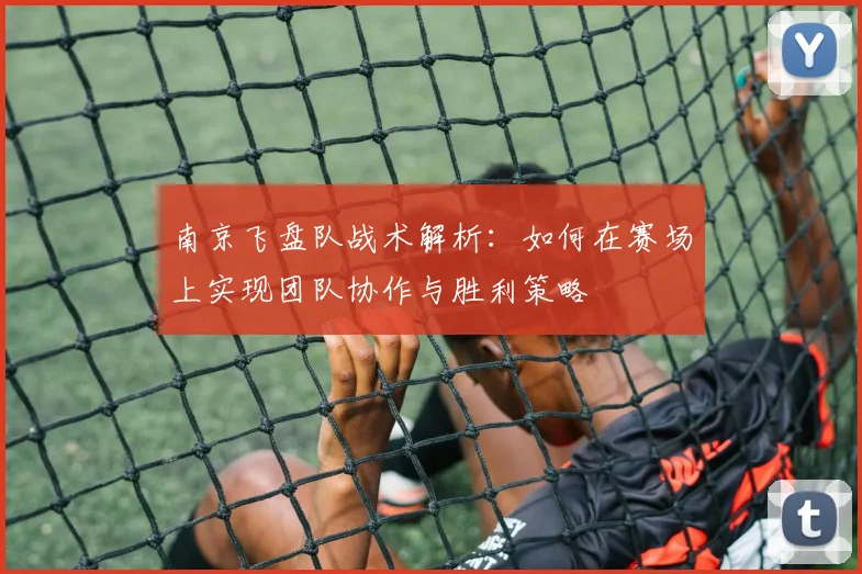 南京飞盘队战术解析：如何在赛场上实现团队协作与胜利策略